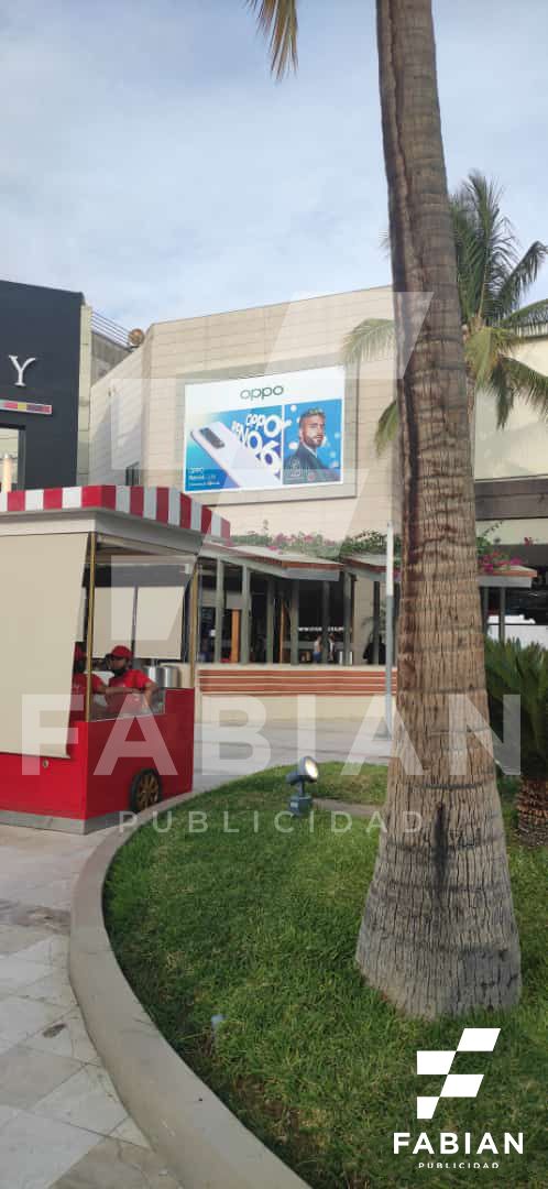 Imagen de la diapositiva